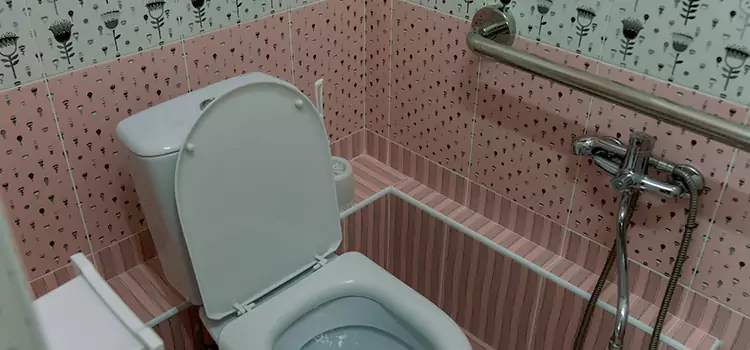 Meeting Diverse Needs With Accessible Restroom Solutions in Belleville, IL